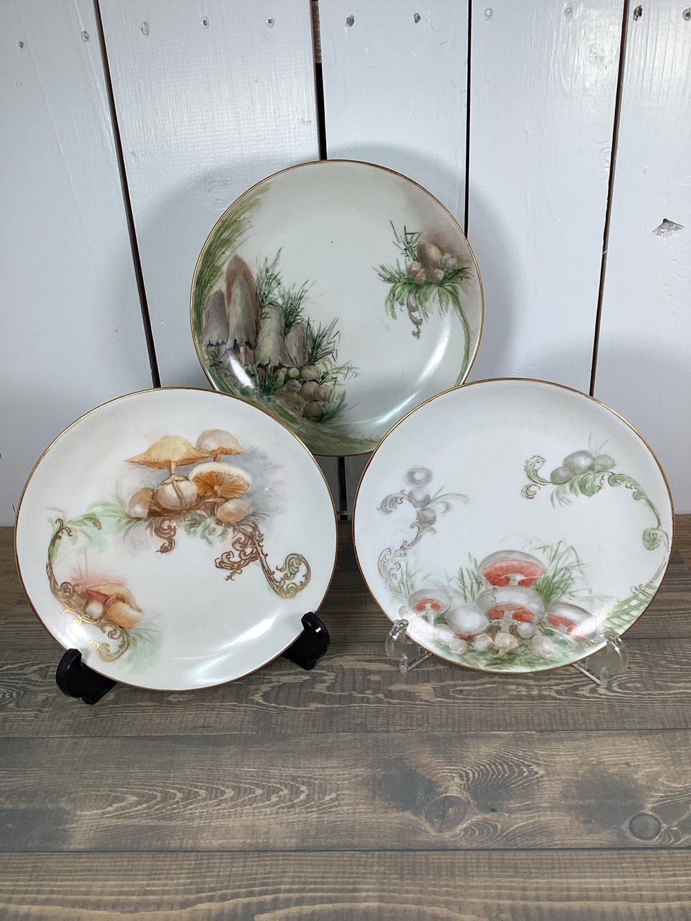 Set 3 Mushroom Hutschenreuther Bavaria Selb Plates 7.75" Decorative Luncheon